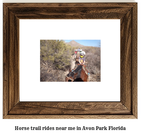 horse trail rides near me in Avon Park, Florida